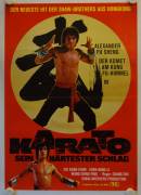 Disciples of Shaolin (Karato - Sein härtester Schlag)